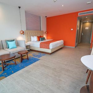 Nest Suite